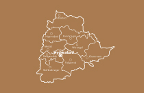 category image
