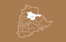 category image