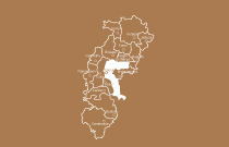 category image