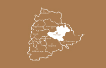 category image