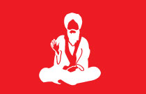 category image