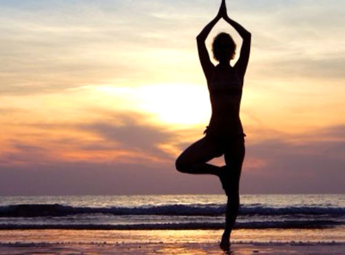 Platform for Wellness & Alternative Therapy Platform for Wellness & Alternative Therapy