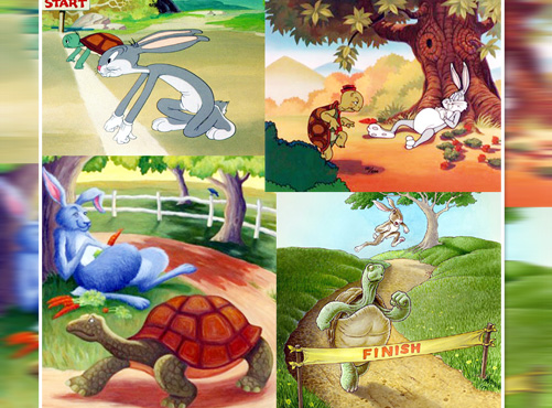 Tortoise