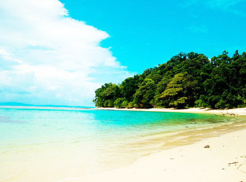 Radhanagar Beach